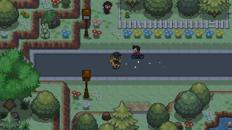 Pokémon Revolution Online ROM Hack Screenshot