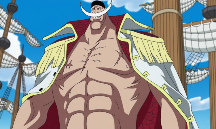 Edward Newgate from One Piece anime