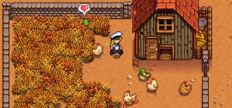 Stardew Valley Coop with Chickens & Ducks