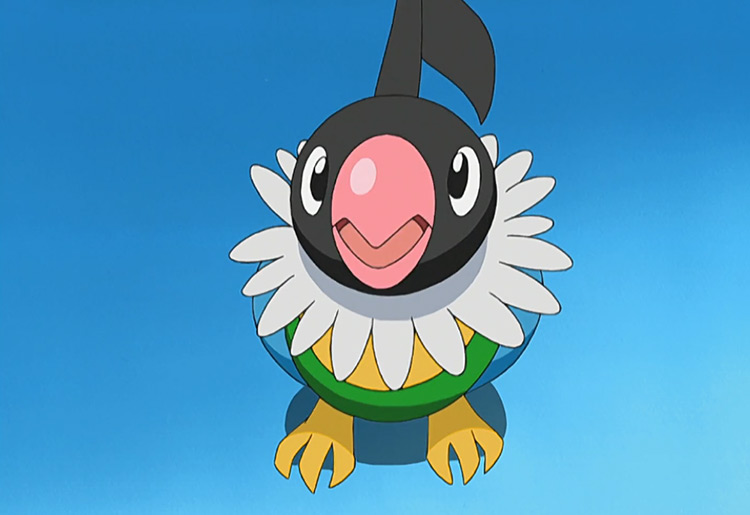 Chatot from Pokemon anime (screenshot)