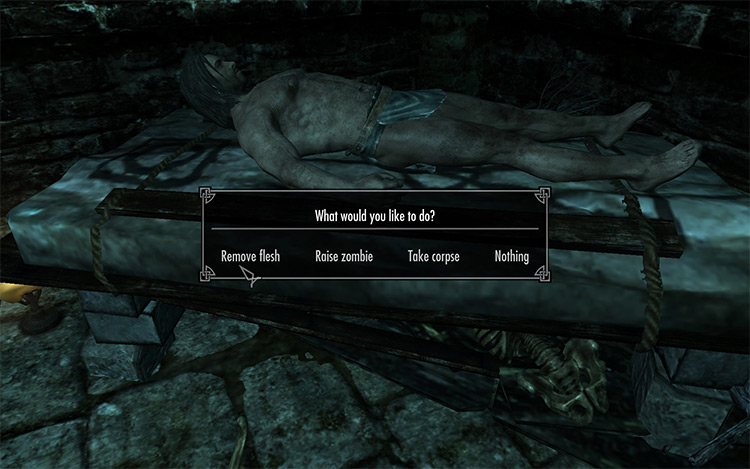 Corpse Preparation - True Necromancy / Skyrim Mod