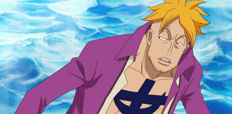 Marco One Piece anime screenshot