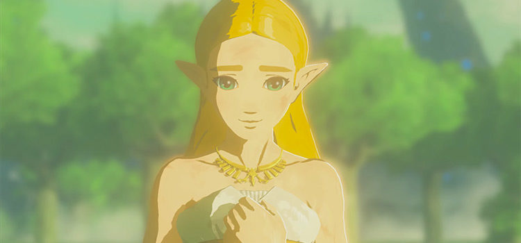 Princess Zelda Close-up Screenshot from BotW