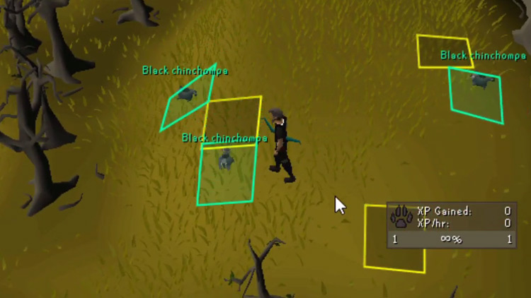 Black Chinchompas in OSRS