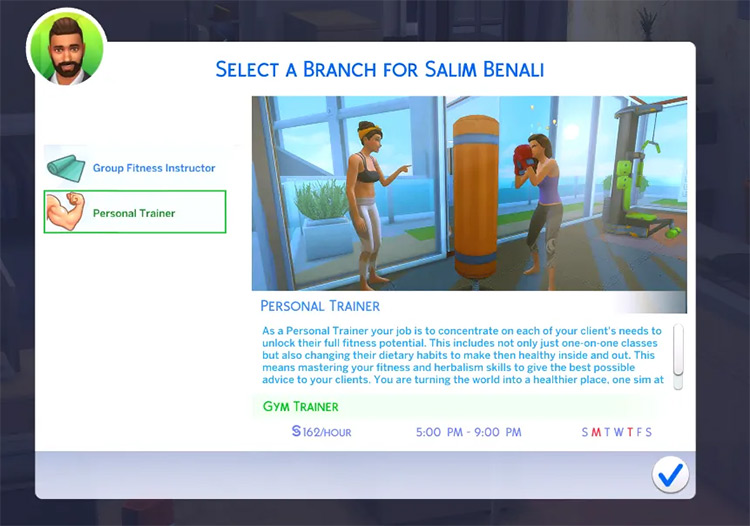 careers mod sims 4