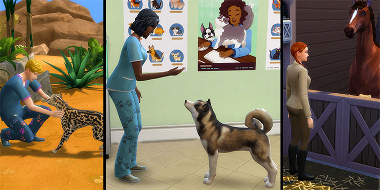 Animal Care Sims 4 mod