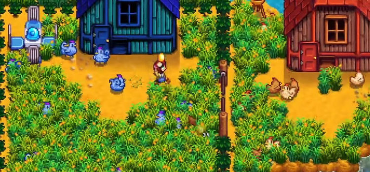 Top 5 Early Game Ways To Make Money in Stardew Valley