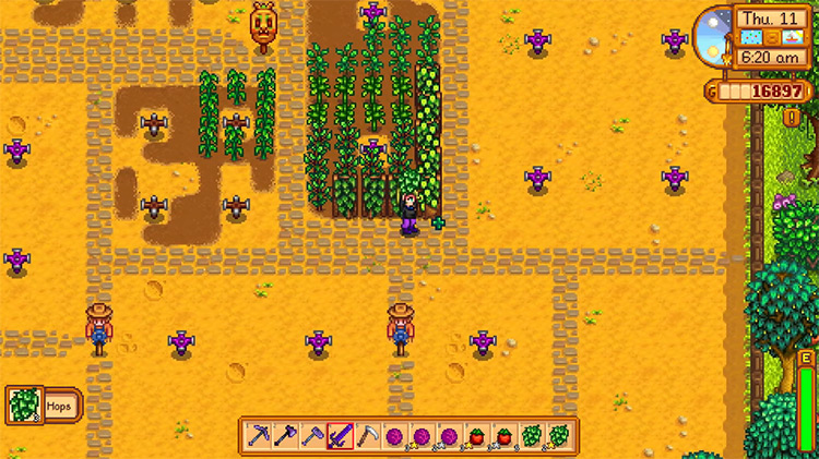 Grow Hops in Stardew Valley