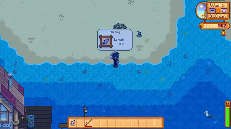 Fishing & Foraging in Stardew Valley