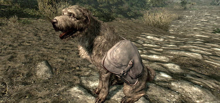 Meeko Dog Backpack Mod (Skyrim)