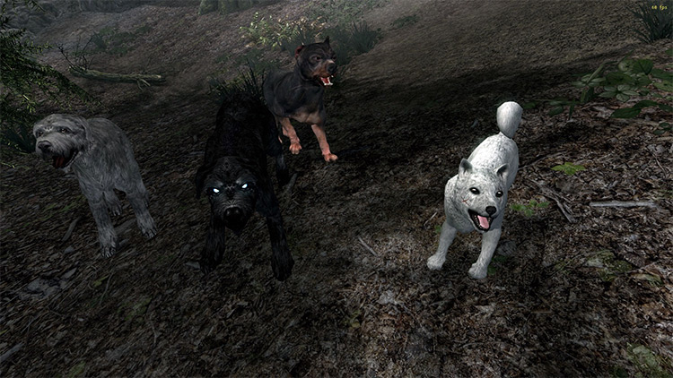 Attack Dogs – A Dog Combat Overhaul / Skyrim mod