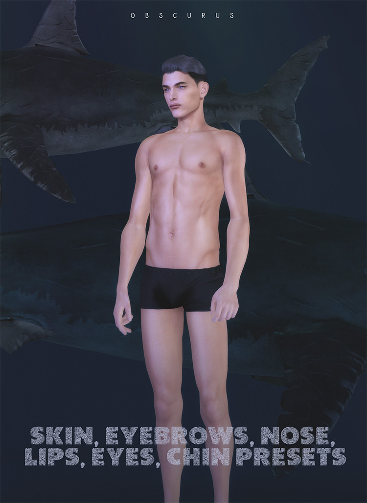 Skin, Eyebrows and Male Presets / Sims 4 CC