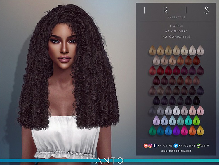 Iris Alpha Curly Hair / Sims 4 CC