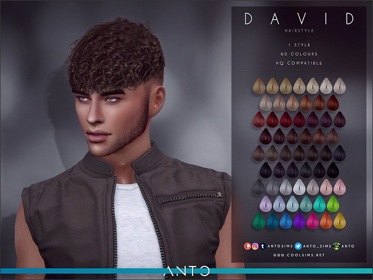 David / Sims 4 CC