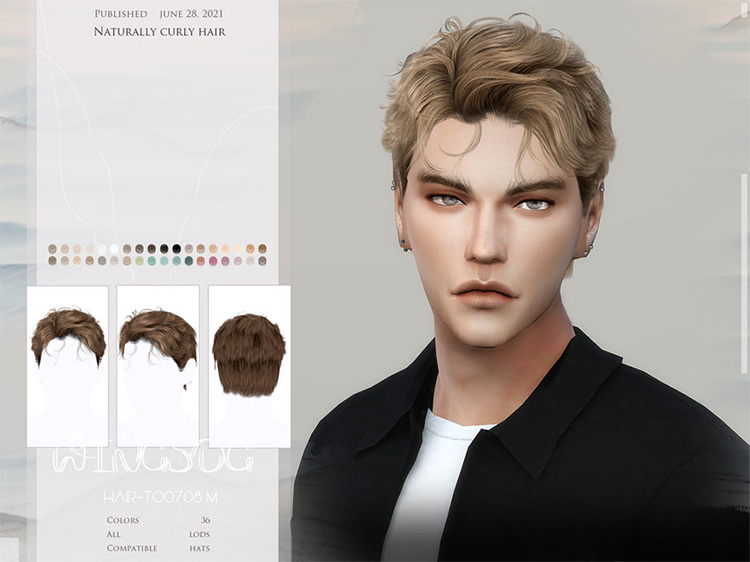 Best Alpha CC Curly Hair for The Sims 4  Guys   Girls    - 41