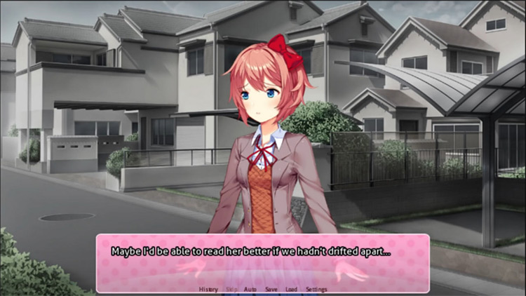 Don't DDLC MOD