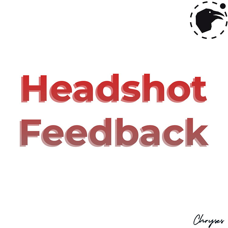 Headshot Feedback Ravenfield Mod