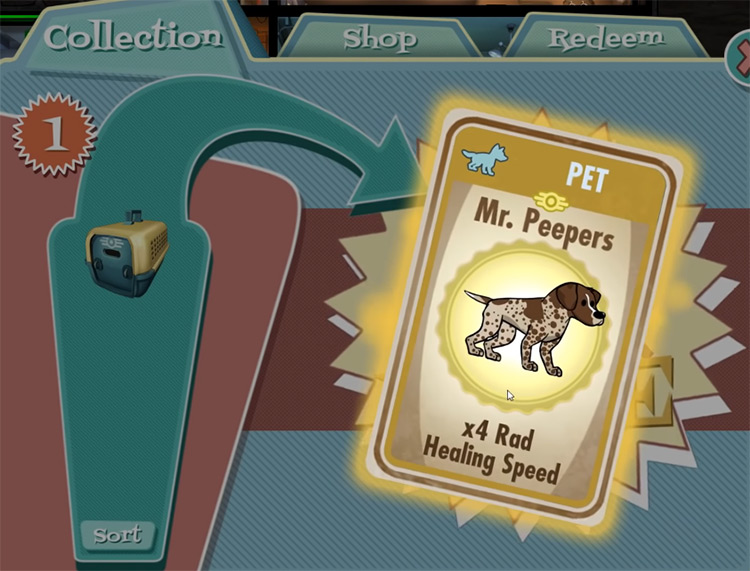 Cocoa Bean / Mr. Peepers – German Pointer from Fallout Shelter