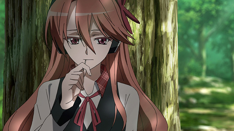 Chelsea from Akame ga Kill! anime