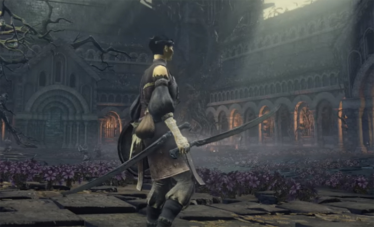 Sellsword Twinblades in DS3