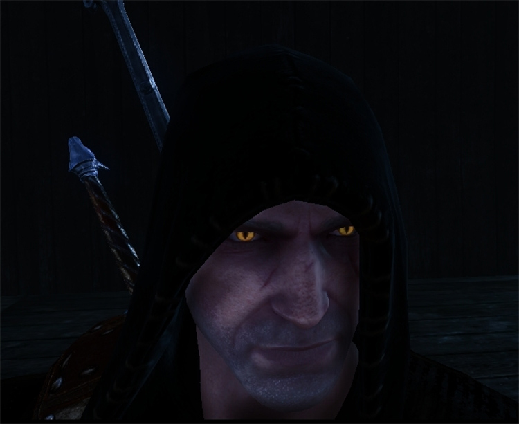 Vivid Eyes Mod for Witcher2