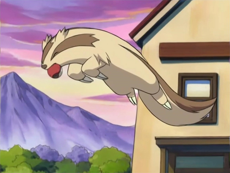 Linoone in Pokemon anime