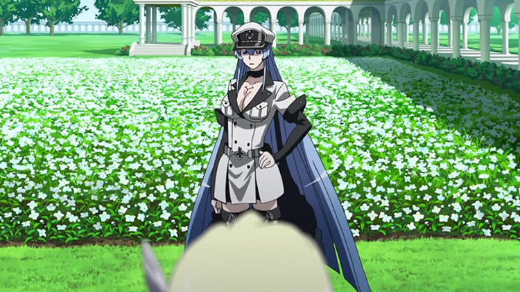 Esdeath from Akame ga Kill anime