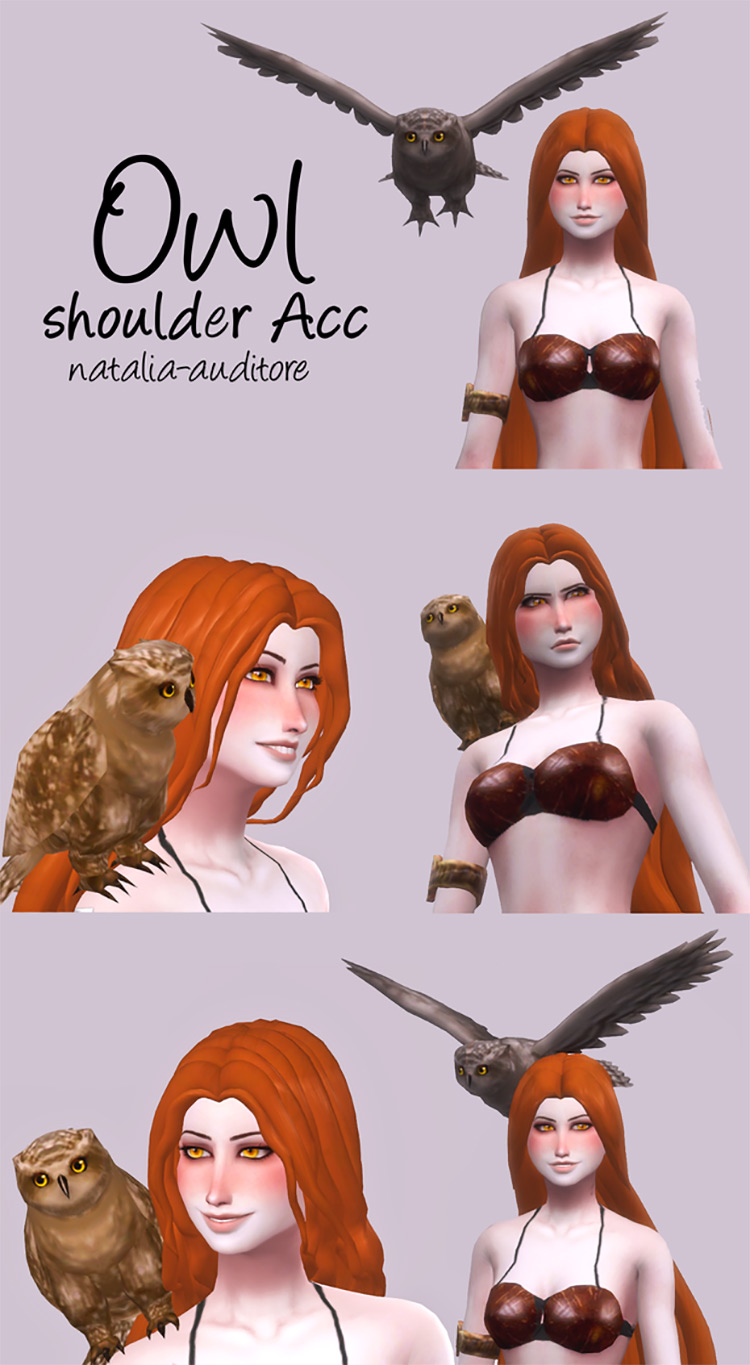 Owl Shoulder Acc / Sims 4 CC