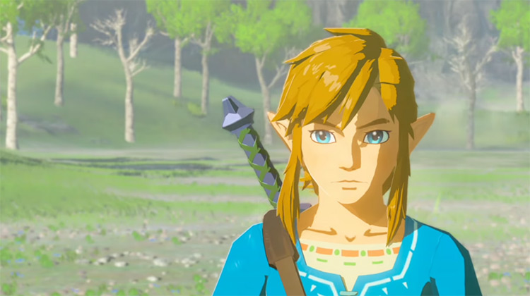 Link in LoZ: Breath of the Wild