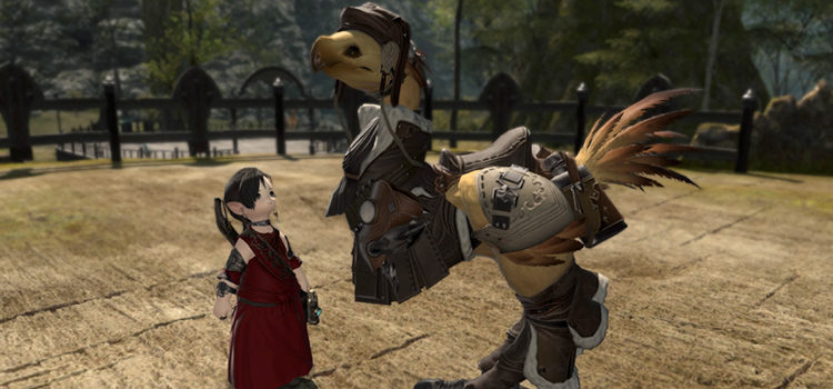 Lalafell looking up at Chocobo Mount (FFXIV)