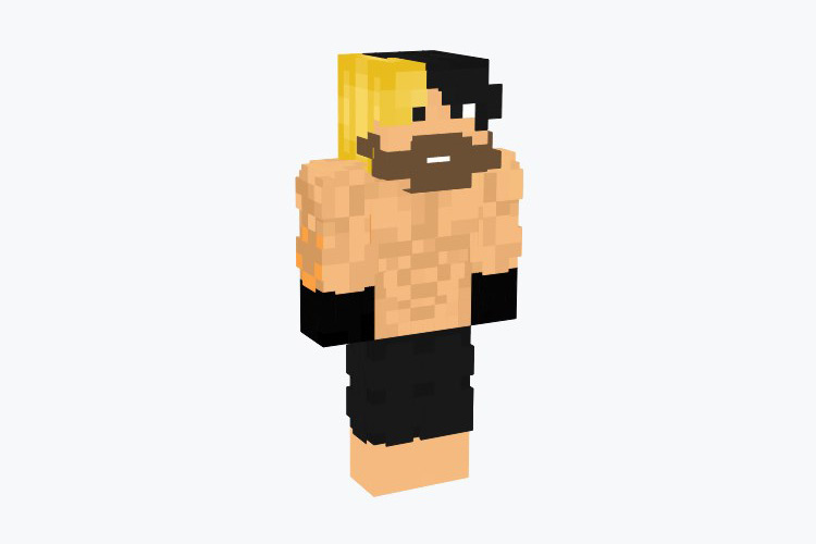 The Best WWE Skins For Minecraft  All Free    FandomSpot - 85