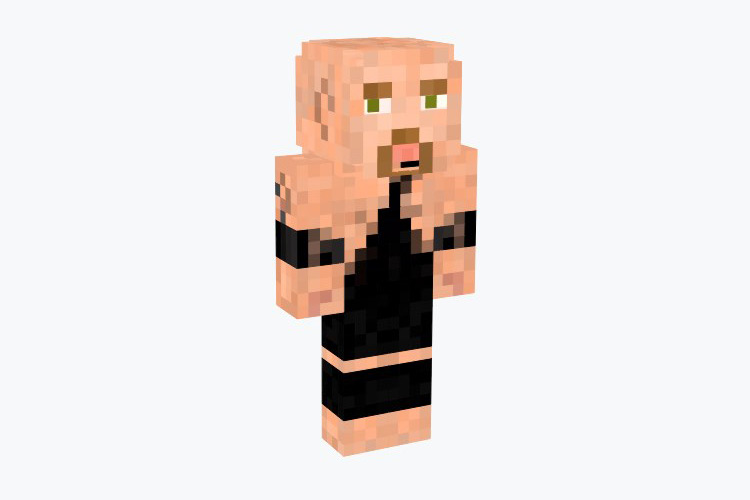 The Big WWE Show Skin For Minecraft