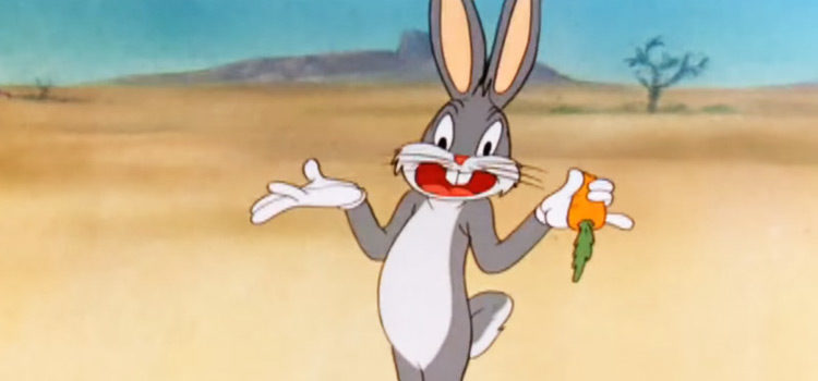 The Best Looney Tunes Characters Of All Time (Ranked)