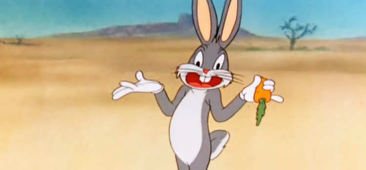 10 Best Looney Tunes Characters, Ranked By How Funny Their Mistakes Are