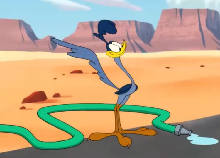 The Roadrunner Looney Tunes character screenshot