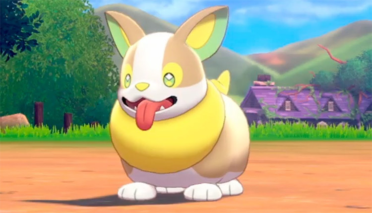 Yamper from Pokemon anime