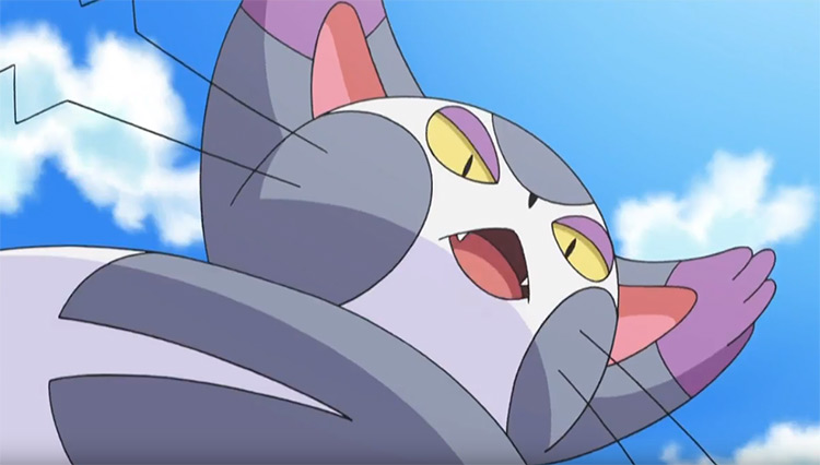 Purugly in Pokemon anime