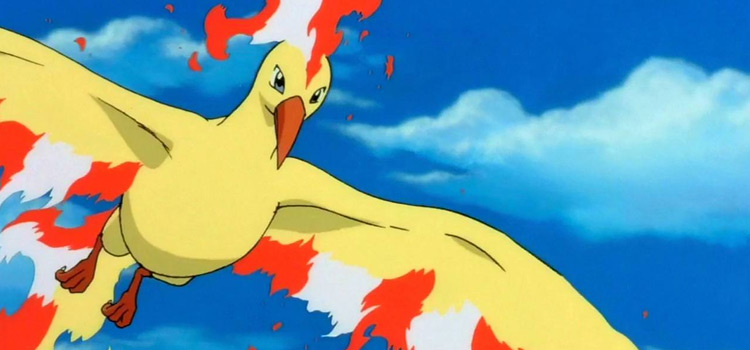 Moltres legendary bird in the anime