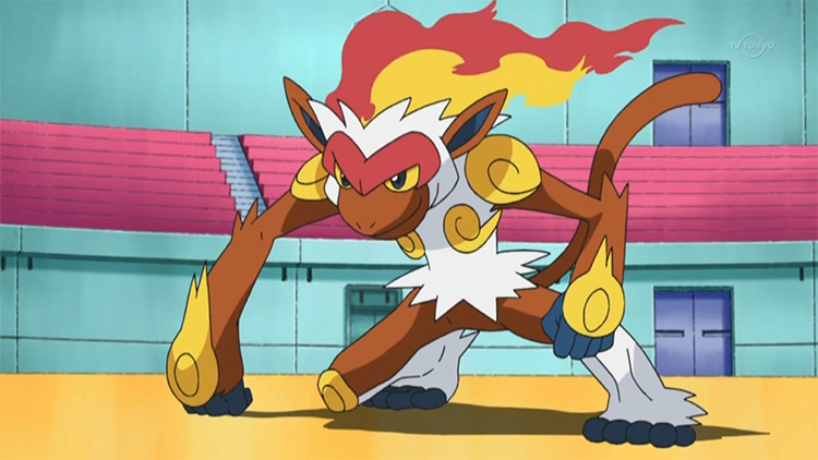 Infernape from the anime