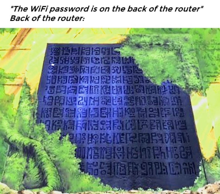 One Piece meme - The wifi password is on the back of the router