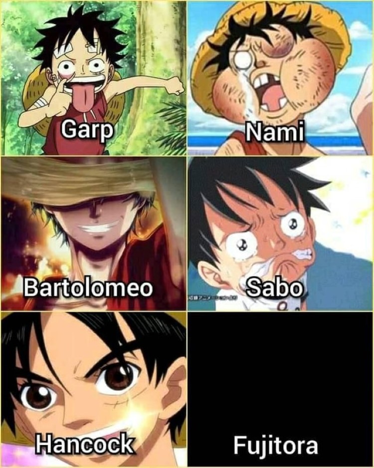 Garp, Bartolomeo, Hancock, Nami, Sabo, Fujitora meme