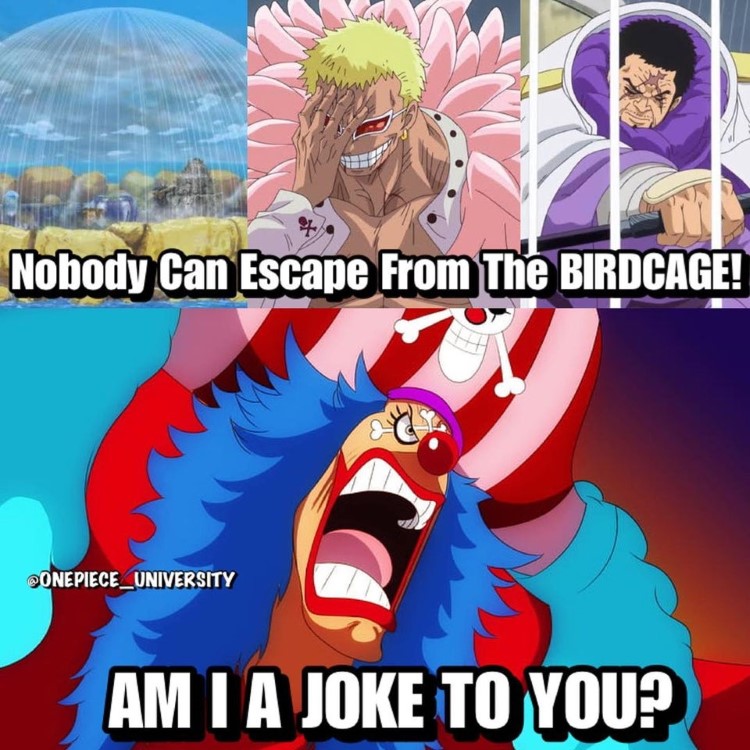 Nobody can escape The Birdcage meme
