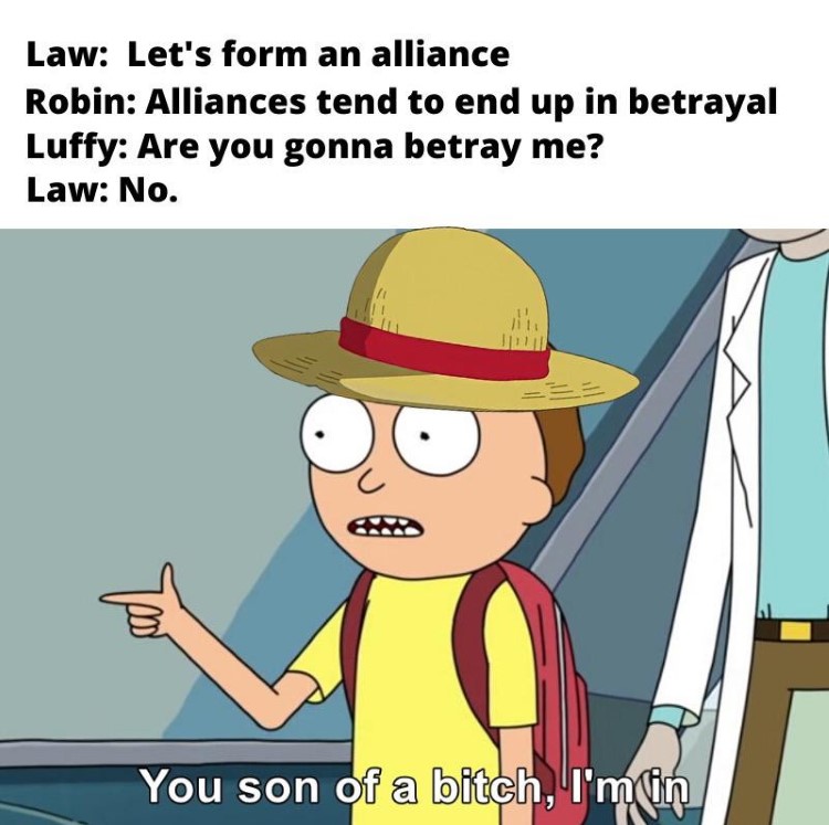 Luffy: You son of a bitch, I'm in - Rick Morty Crossover meme