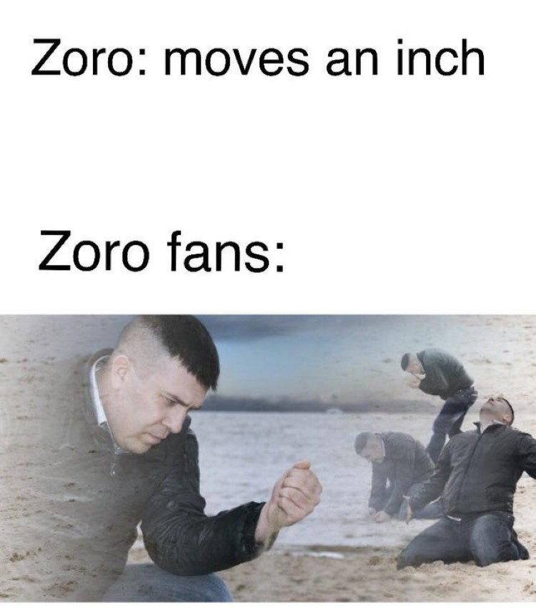 Zoro: Moves an inch. Zoro fans meme