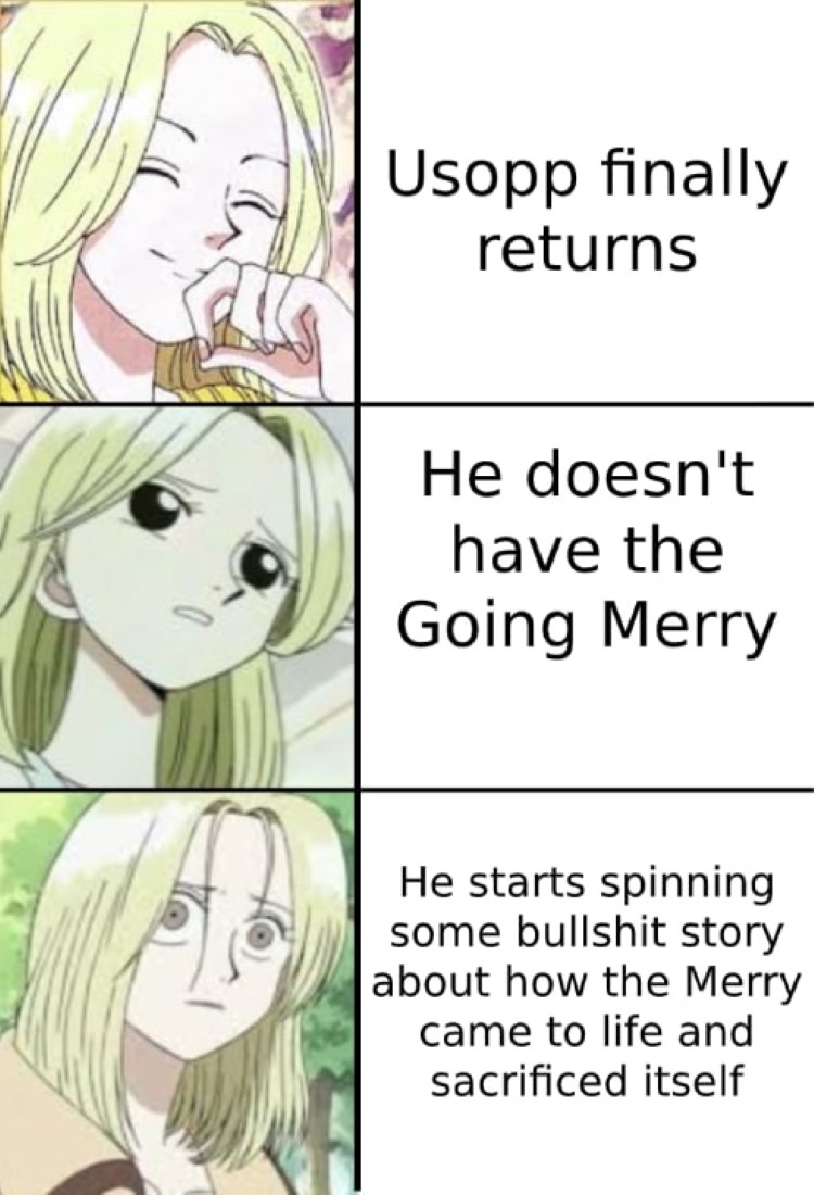Usopp finally returns. He doesnt have the Going Merry - Worried Meme