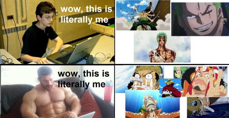 Wow, this is literally me Luffy meme