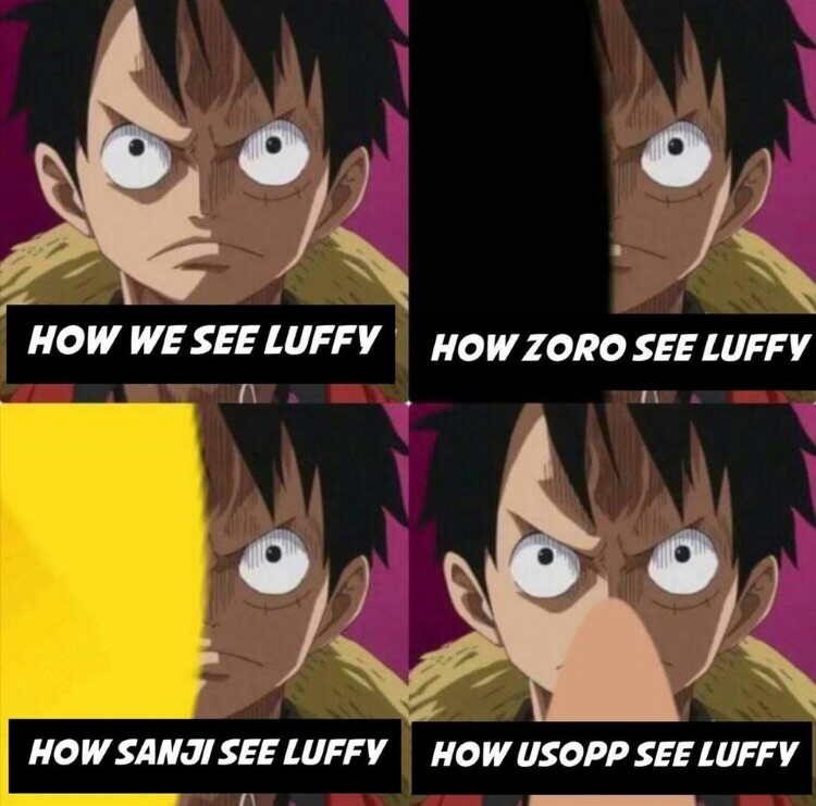 How Zoro sees Luffy vs. How Usopp See Luffy
