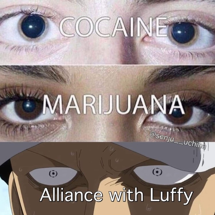 Drug chart, eyes on Alliance with Luffy meme
