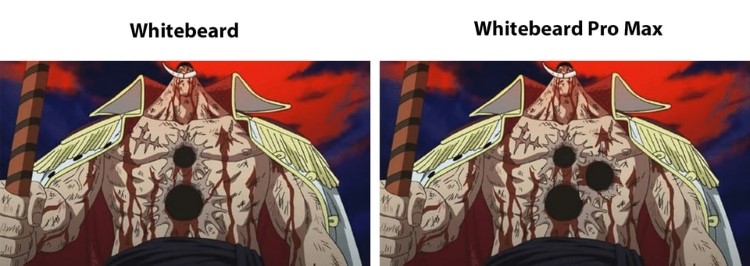 Whitebeard vs Whitebeard Pro Max meme