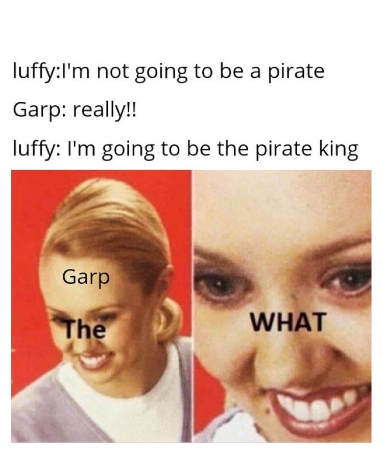 Luffy: I'm going to be the pirate king - Garp, the what meme